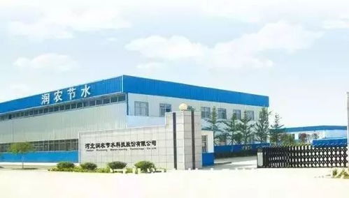 河北18家企業進入上市輔導期，資本市場迎燕趙新軍